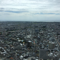 スカイチャペルからの風景