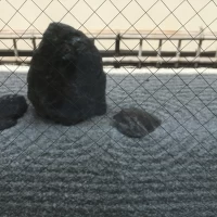サロンの横に石庭が