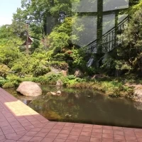 屋内から見える池。