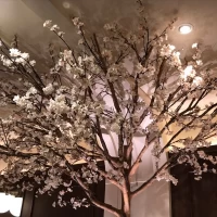 高砂横には、大きな桜の木があります
