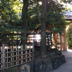 寒川神社|530918さんの寒川神社の写真(767925)