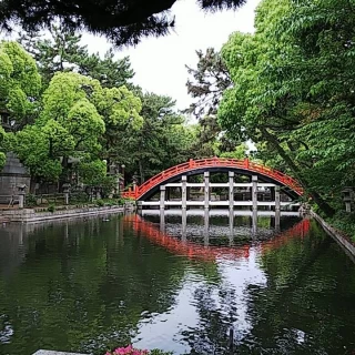 緑の中に鮮やかな赤い太鼓橋。これをバックに写真を撮ります。