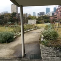 ロケーションが素晴らしいホテル