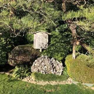 庭の隅にあるさざれ石です。ゲストはわざわざ見に来ていました。
