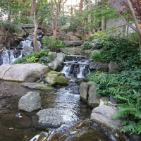 庭園