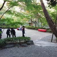 庭園
前撮りなどしていました