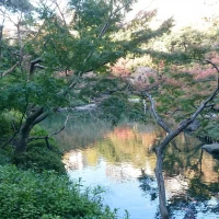 庭園の大きな池
