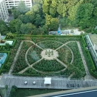 窓から庭園が見えます