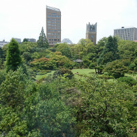 披露宴会場からの庭園の景色