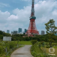 庭があり、東京タワーが目の前です