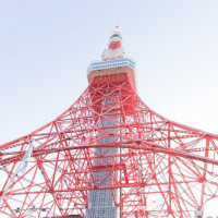 敷地内から見える東京タワー