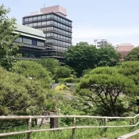 お庭の緑