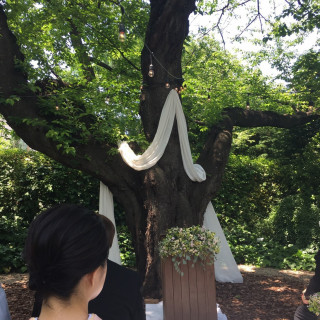 桜の木の下で人前式を行いました。