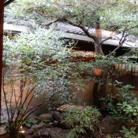 日本庭園が待合室から見えて、落ち着いています