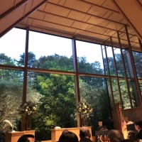 緑と光の差し込む教会