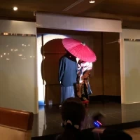 スクリーンを通してシルエット登場ができます。