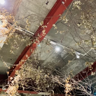 天井