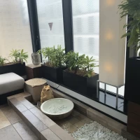水が流れる披露宴会場