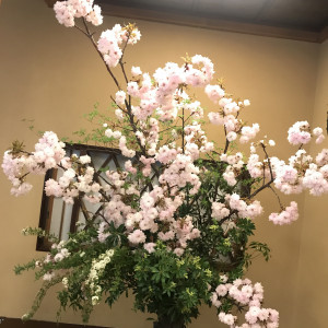 床の間のお花|532849さんの玄冶店 濱田家の写真(782630)