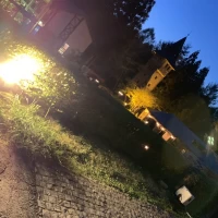 夜の中庭