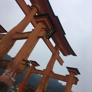 厳島神社の結婚式 特徴と口コミをチェック ウエディングパーク