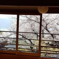 窓からの景色です