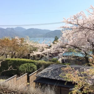 会場からみた庭と海。島は宮島です。|532943さんの庭園の宿 石亭の写真(960844)