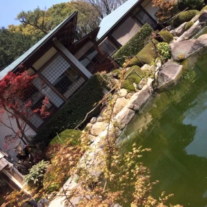 建物側には赤い葉がありました|532943さんの庭園の宿 石亭の写真(960838)