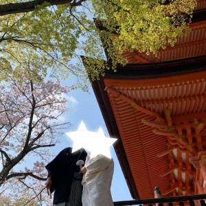 ここは挙式する人しか入らない写真スポットらしいです|532943さんの厳島神社の写真(961273)