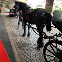 馬車の道です