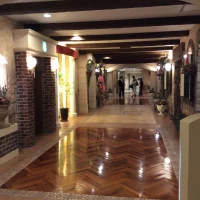 料理がとても美味しかった