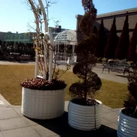 料理でしっかりとおもてなしができる会場