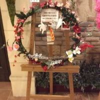 料理がとても美味しかった