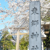 挙式会場の東郷神社
