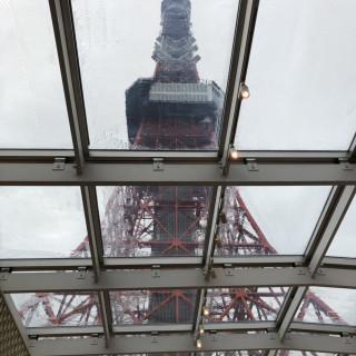 雨でもしっかりと東京タワーが見える天井です。