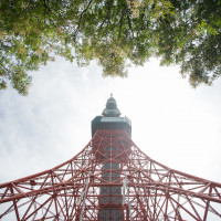 式場の目の前下から見上げた東京タワー