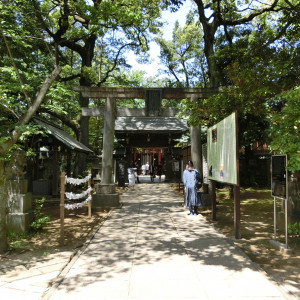 庭|533231さんの赤坂 氷川神社の写真(786667)