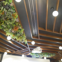 天井にも植物があってオシャレです
