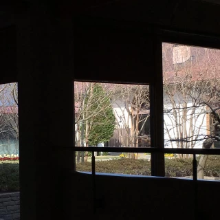 中庭