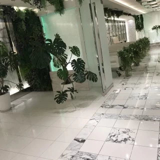 入り口は観葉植物が沢山