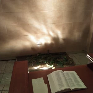 祭壇前|533976さんのアゴラシオンの写真(1021859)