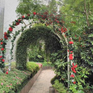 屋外のチャペルガーデン|533976さんの大阪ガーデンパレスの写真(1060103)