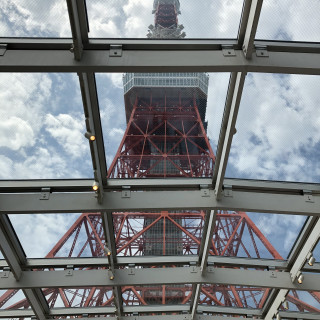真下から見上げる東京タワーは圧巻です