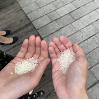 ライスシャワー