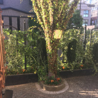 植木。季節によって変わるそうです