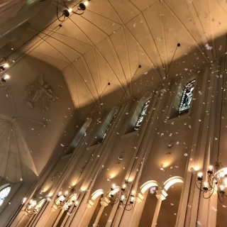 天使の羽