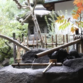中庭