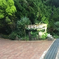 駐車場から入り口見た写真