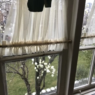 初春は木蓮が咲いてました