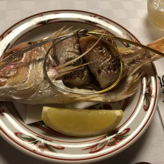 おめで鯛